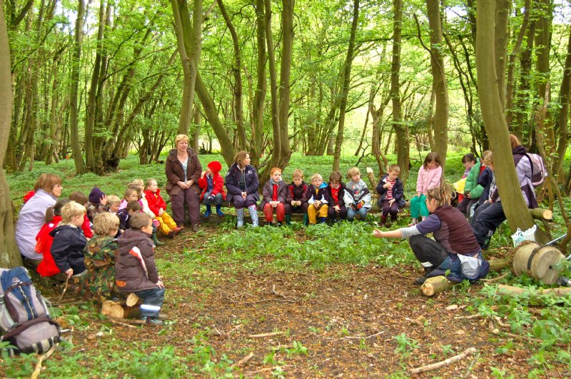 Orman Pedagojisiyle Doğa ve Bilim
